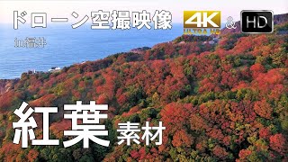 【空撮/映像素材】テーマは🍂紅葉🍂素材用空撮映像　観光地/景色/公共施設