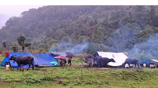 Primitive Rural Village || Chapter 35 || Very Hardworking Rainy season || traditional house Making