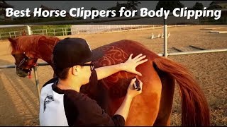 Best Horse Clippers for Body Clipping and Thick Coats (2021)