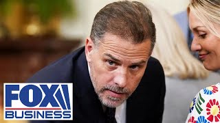 What does Hunter Biden actually do? GOP rep. questions