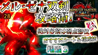 【モンハンサンブレイク】メルゼナ討伐苦戦中の方はぜひ!!絶対押さえておきたい双剣攻略術まとめ。準備編～実戦編分けて紹介【体験版/MHRise/モンスターハンターライズ