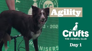 Agility – Championships – Large/Intermediate Final | ​Crufts 2025