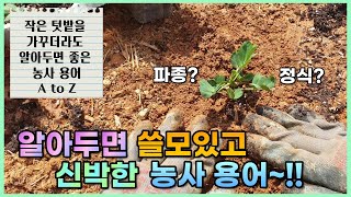 [알아두면 좋은 농사용어]작은 텃밭을 가꾸더라도 알🌾아두면 쓸🌿모있고 신🌱박한 농🥬사용어~!!