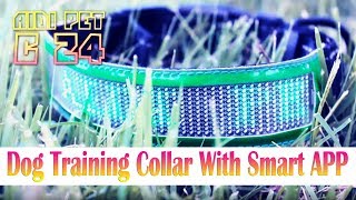 C24 LED Smart Dog Collar | Dog Training Collar With Smart APP