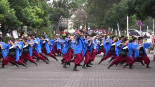 「名古屋学生チーム　鯱」　東海秋まつり2010