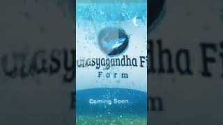 Matsyagandhga Fish Farm || Biofloc fish farming