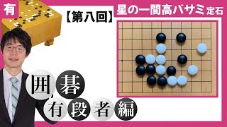 星の一間高バサミ定石 #8 「ハネた時のブツカリ続き」 ~プロ棋士 柳澤理志~【囲碁有段者向け】