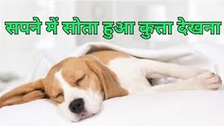 सपने में सोता हुआ कुत्ता देखना| Sapne me sota hua kutta dekhna| Seeing sleeping dog in dream