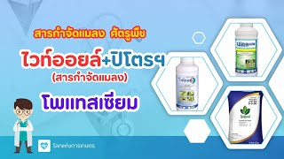 คลิปรวม...ไวท์ออยล์+ปิโตรเลียมออยล์(White Oil) และธาตุโพแทสเซียม(K)