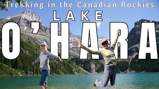 Trekking LAKE O'HARA Alpine Circuit with kids!