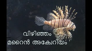 Vizhinjam Marine Aquarium/ Thiruvananthapuram