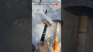 Breaking the ice with 4 different hammers. This should be an ASMR or smth satisfying | Male audiance