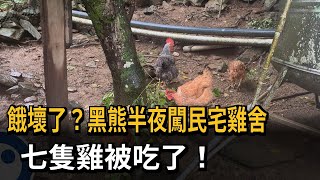 餓壞了？黑熊半夜闖民宅雞舍　七隻雞被吃了！－民視新聞