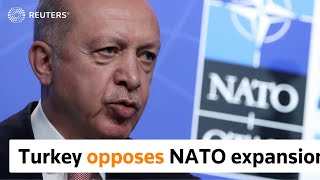 Turkey not supportive of Finland, Sweden joining NATO