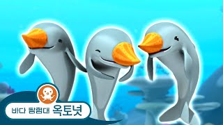 바다 탐험대 옥토넛 - 돌고래랑 놀기 🐬 | 돌고래의 날 - 모음집