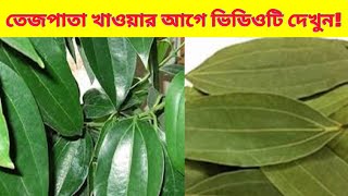 তেজপাতার উপকারিতা || তেজপাতার উপকারিতা শুনলে আপনার চোখ কপালে উঠবে || Benefits Of Bay Leaf |তেজপাতা