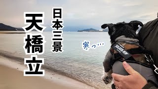 【愛犬とお出かけ】コロコロ変わる冬空の中、愛犬と日本三景に行って来ました！