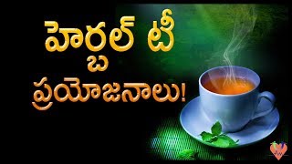 హెర్బల్ టీ ప్రయోజనాలు! | Top 5 Herbal Tea That Will Make You Healthier | Arogya Mantra