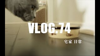 【茄子酱Vlog.74】宅家日常｜认真生活可以抵御焦虑 治愈向