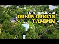 Healing di dusun durian Tampin