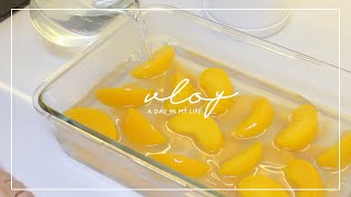 [Minimalist living Vlog #09] decorate my bullet journal + make peach jelly! | 极简生活