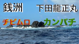 伊豆下田　龍正丸　銭洲　チビムロ泳がせ　カンパチ狙い🎣