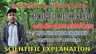 വേനലിൽ ചെടികൾ ഉണങ്ങാതിരിക്കാൻ മെത്തലോ ബാക്റ്റീരിയ | ചരിത്രം | Simple Mass Multiplication Techniques