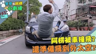 【奈奈阿楞小劇場x寵物宣導】阿楞被車撞?還準備飛到外太空?!