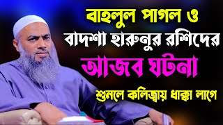 বাহলুল পাগল ও বাদশা হারুনুর রশিদের আজব ঘটনা আল্লামা মুফতী মুস্তাকুন্নবী কাসেমী Mustakunnabi Kasemi