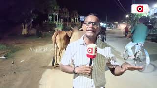 ସହରର ରାସ୍ତା ପାଲଟିଛି ଗାଈ ଗୋରୁଙ୍କ ଚରା ଭୂଇଁ || Cow's Road Block || Banki