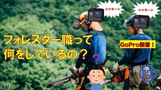 フォレスター職の社員にGoProを付けてみた（前編）