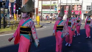 20221002 Koganei Awa Odori Koganei Sakura Ren 小金井阿波おどり 小金井さくら連