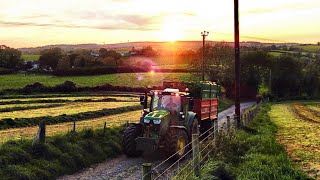 The Best Bits ~ Silage 2020 Highlights!