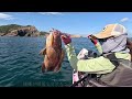 the woman went fishing on a small boat and finally caught the perfect fish