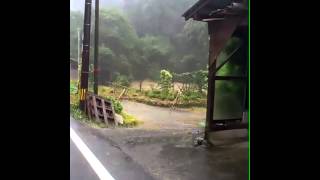 2012年7月14日7:52　福岡県八女市黒木町笠原