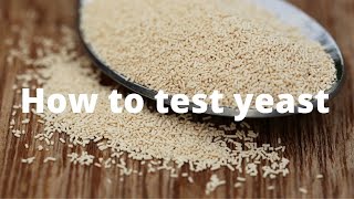 How to make sure your yeast is still ok and can be used for baking! 🍞✅