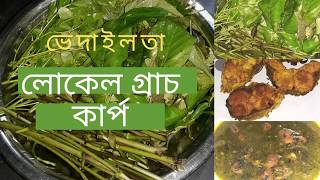 ভেদাইলতা আৰু মাছৰ আঞ্জা | ভেদাইলতা আৰু নৰসিংহ মাছৰ আঞ্জা | ভেৱেলীলতা তৰকাৰী | vedailota curry recipe