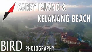 Bird Photography ll Carey Island and Kelanang Beach