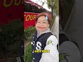 韩国vlog｜26岁不谈恋爱边追星边读博的独居日常…？！