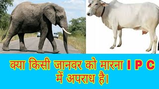 क्या जानवर को मारना अपराध है/Is it a crime to kill an animal .