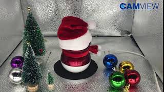 Christmas elf   CamView home camera 02