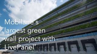 Mobilane's largest LivePanel green wall project