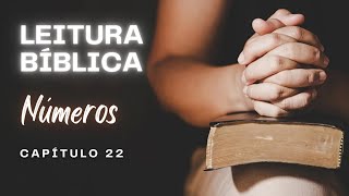 LEITURA BÍBLICA NÚMEROS CAPíTULO 22