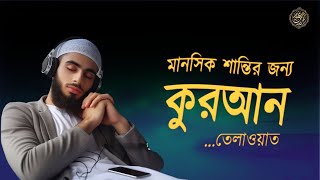 সূরা ইয়াসিনের সুন্দর তেলাওয়াত - সূরা আর-রহমান -Best Quran TILAWAT-শান্তি এবং শান্ত জন্য