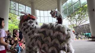 2025醒狮迎新春Lion Dance