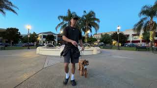 Taking my SCARED golden doodle outside