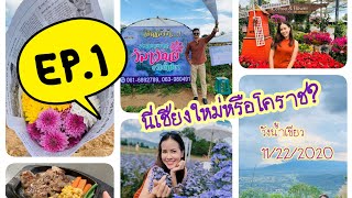 ชมทุ่งดอกไม้วังน้ำเขียว+แวะเที่ยวรายทาง (EP.1 กาแฟบ้านนายช่าง)