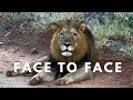 Inside Botswana’s Wildest Safari | Chobe National Park
