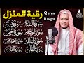 رقية للبيت سورة البقرة، يس، الواقعة، الرحمن، الملك، المعوذات، الإخلاص - شفاء وبركة وحفظ من الشيطان