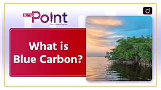 Blue Carbon | Classification of Carbon | To The Point | Drishti IAS English